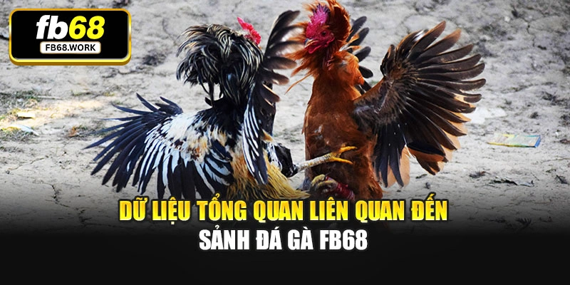 Dữ liệu tổng quan liên quan đến sảnh đá gà Fb68