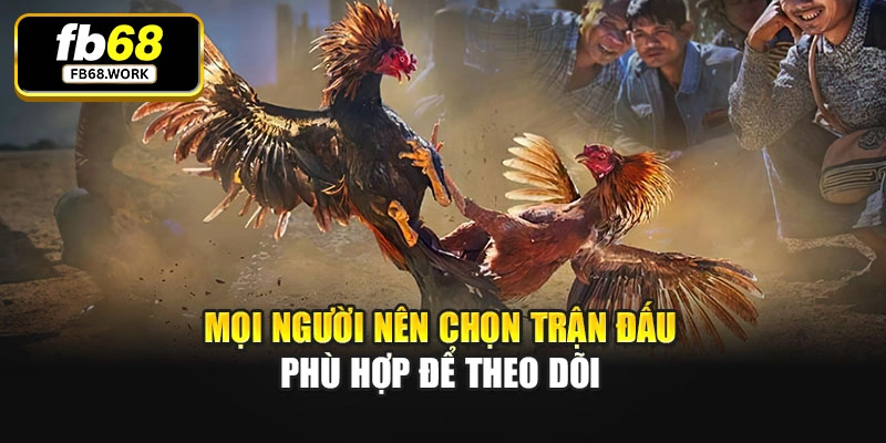 Mọi người nên chọn trận đấu phù hợp để theo dõi